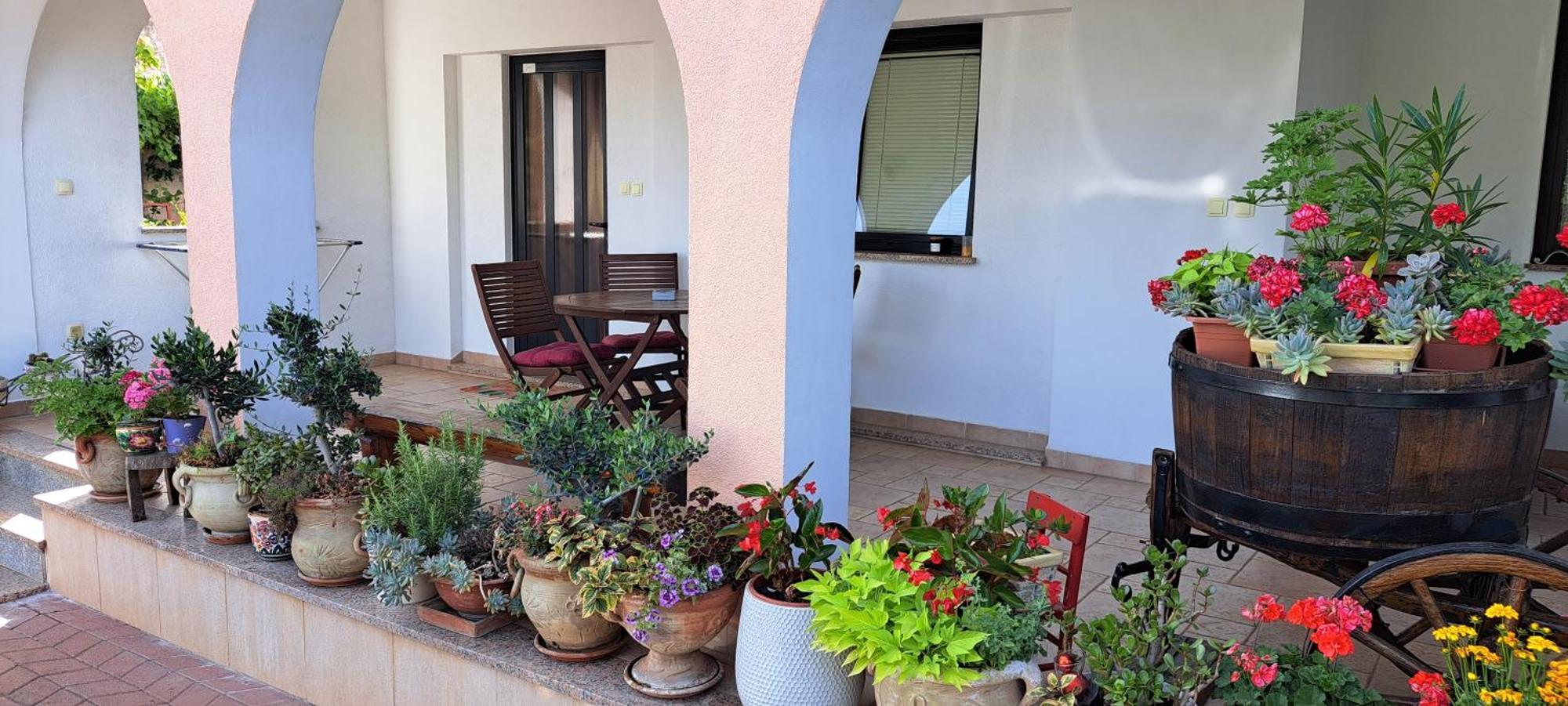 Apartmani Bubnic Umag Exterior photo