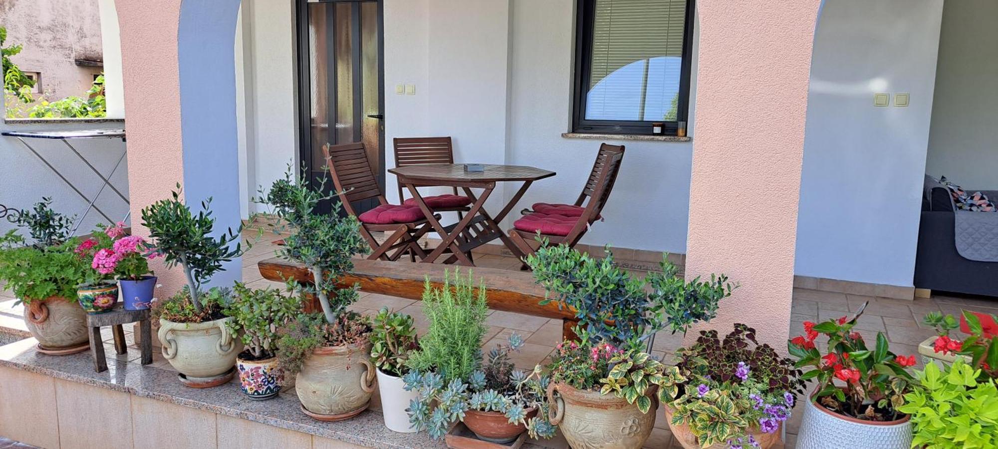 Apartmani Bubnic Umag Exterior photo